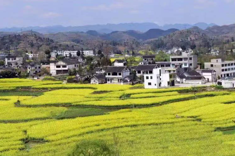 贵州省自然资源厅出台新措施 助推AGGAME资源猪拱塘铅锌矿开发建设